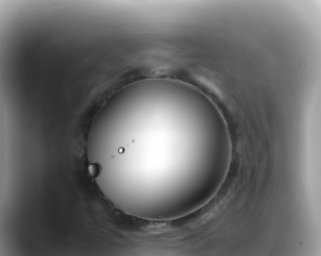 X0000088721447200706071610