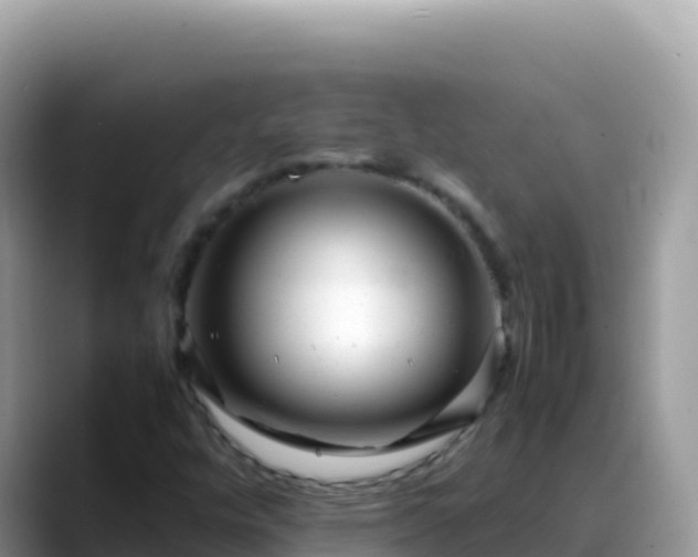 X0000088721448200706071610