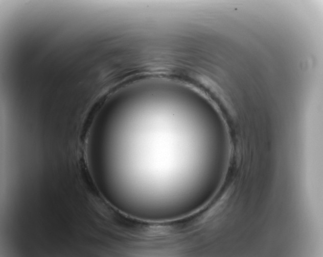 X0000088721449200706071610