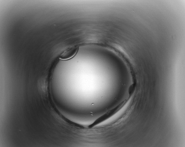 X0000088721450200706071610