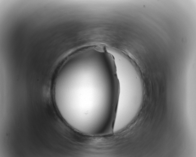 X0000088721452200706071610