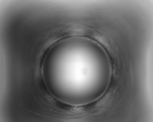 X0000088721453200706071610
