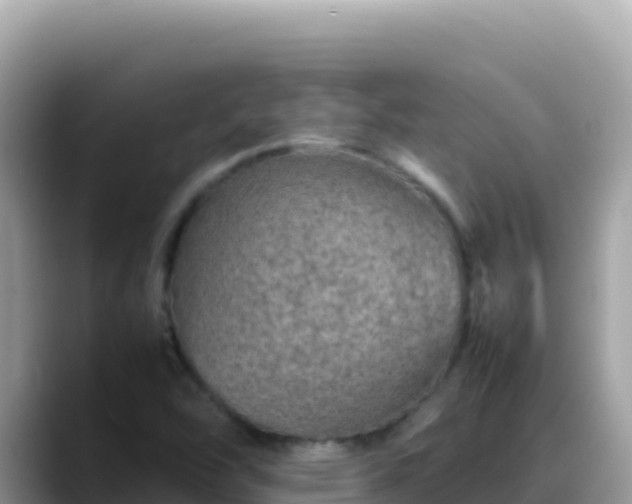 X0000088721454200706071610