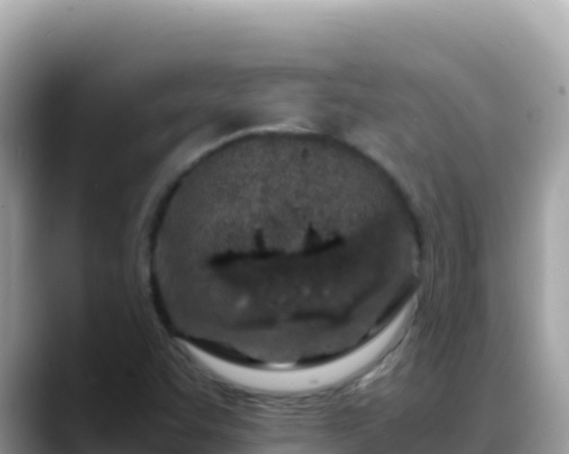 X0000088721455200706071610