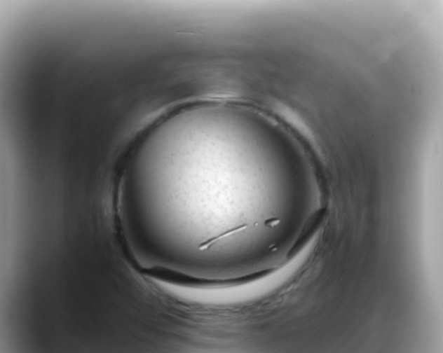 X0000088721456200706071610