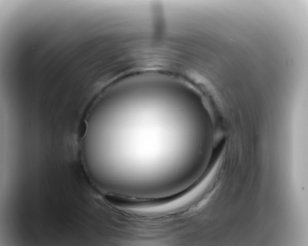 X0000088721457200706071610