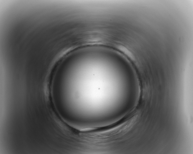 X0000088721458200706071610