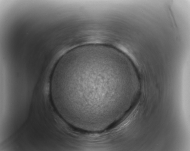 X0000088721459200706071610