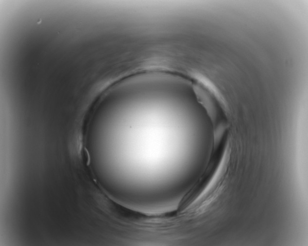 X0000088721461200706071610