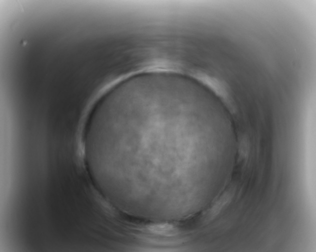 X0000088721462200706071610