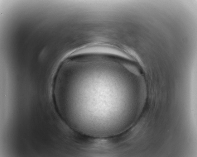 X0000088721463200706071610