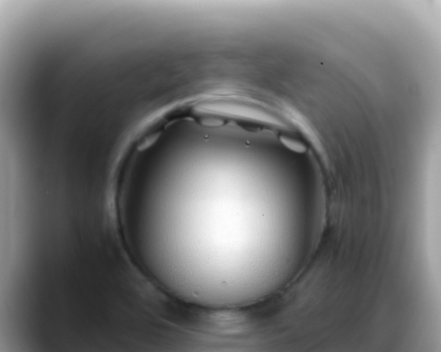 X0000088721464200706071610