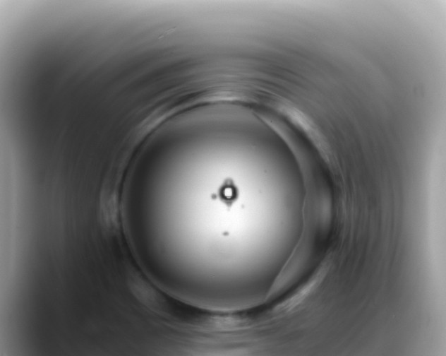 X0000088721465200706071610