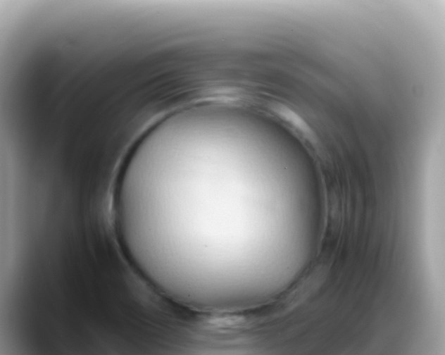 X0000088721466200706071610