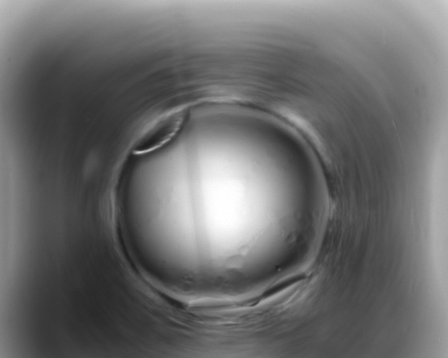 X0000088721467200706071610