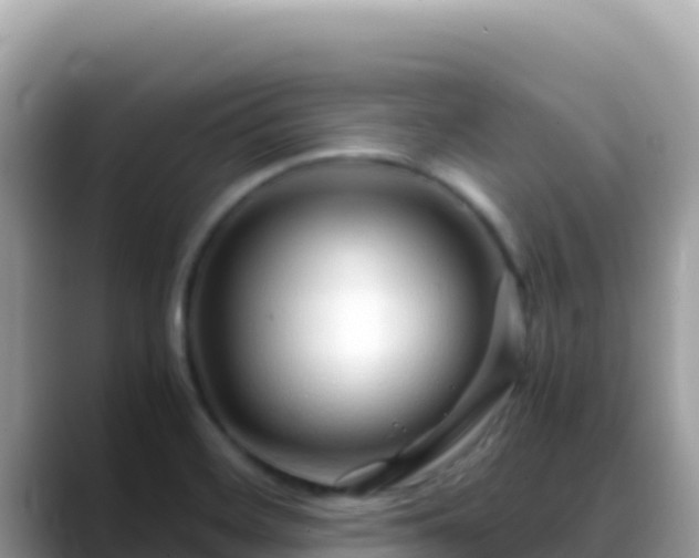 X0000088721468200706071610