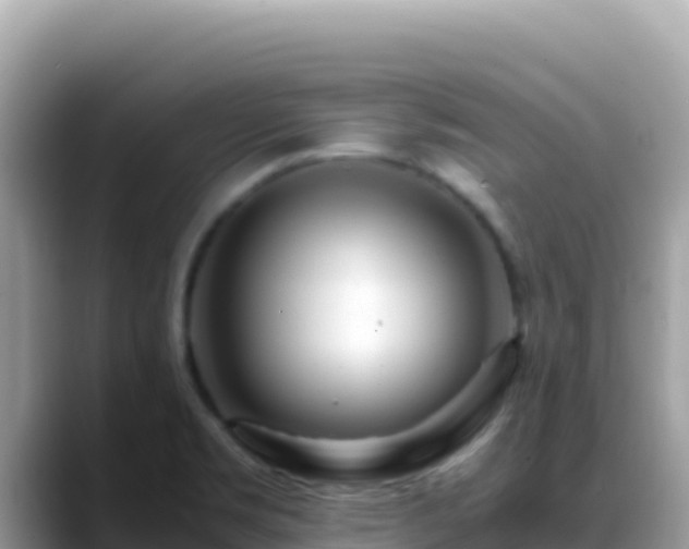 X0000088721469200706071610