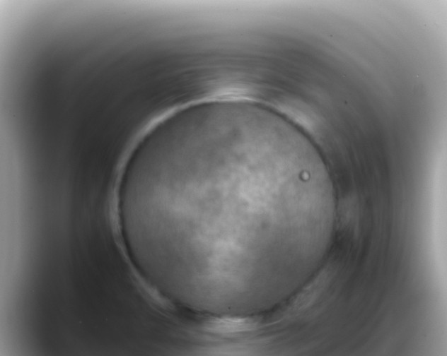 X0000088721470200706071610