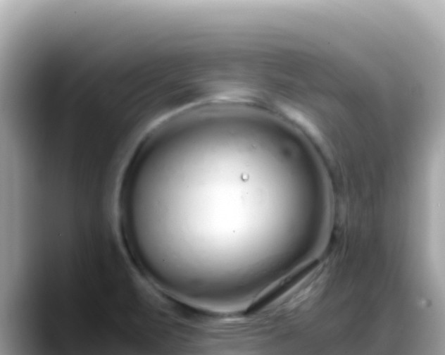 X0000088721471200706071610