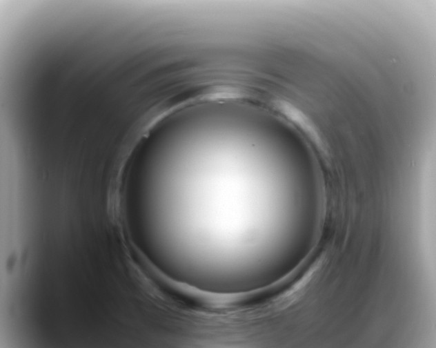 X0000088721473200706071610