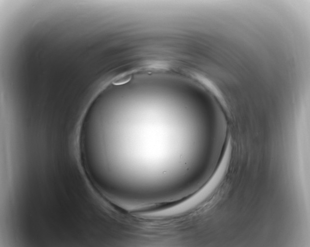 X0000088721475200706071610
