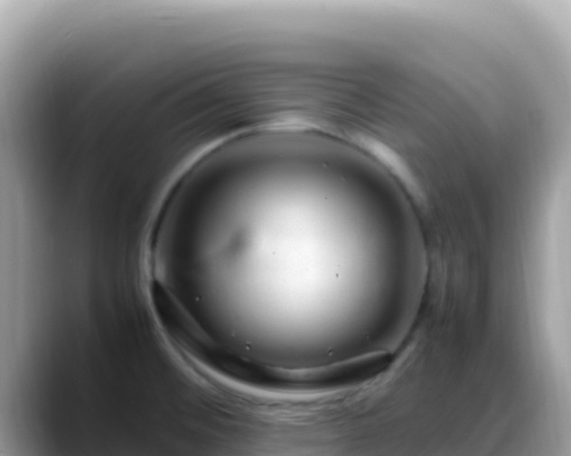 X0000088721476200706071610