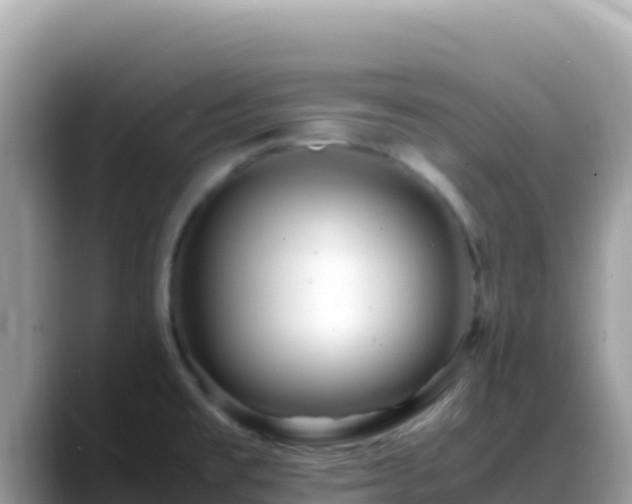 X0000088721477200706071610