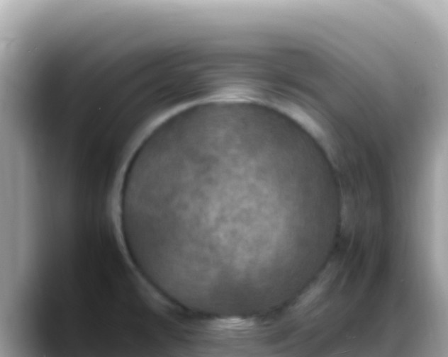 X0000088721478200706071610