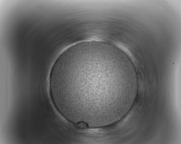 X0000088721479200706071610
