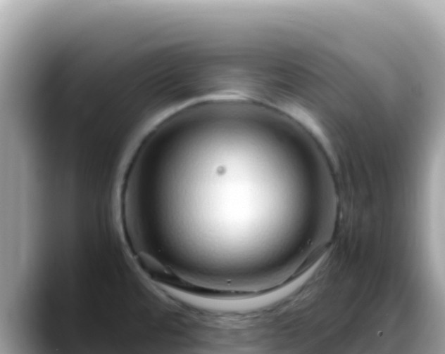 X0000088721480200706071610