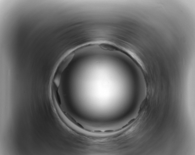 X0000088721484200706071610