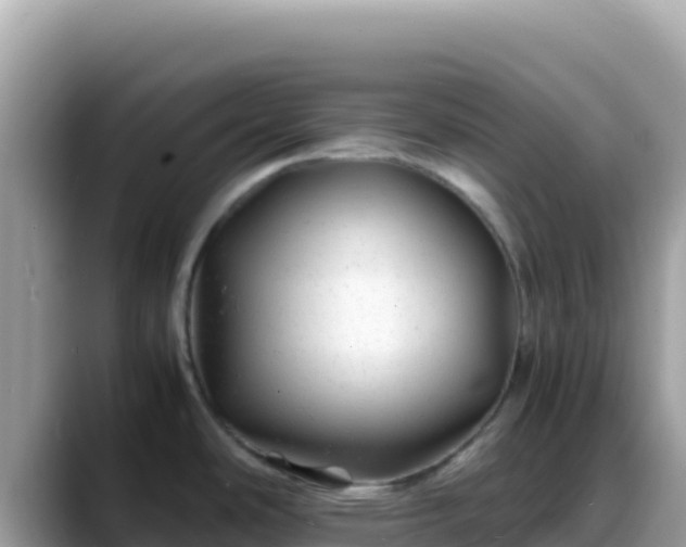 X0000088721486200706071610