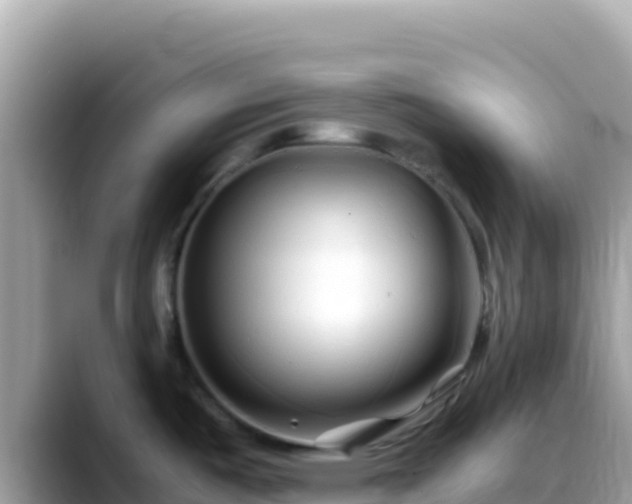 X0000088721487200706071610