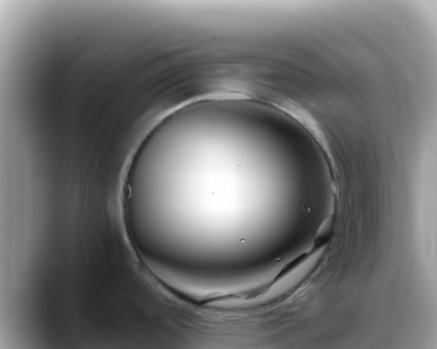 X0000088721488200706071610