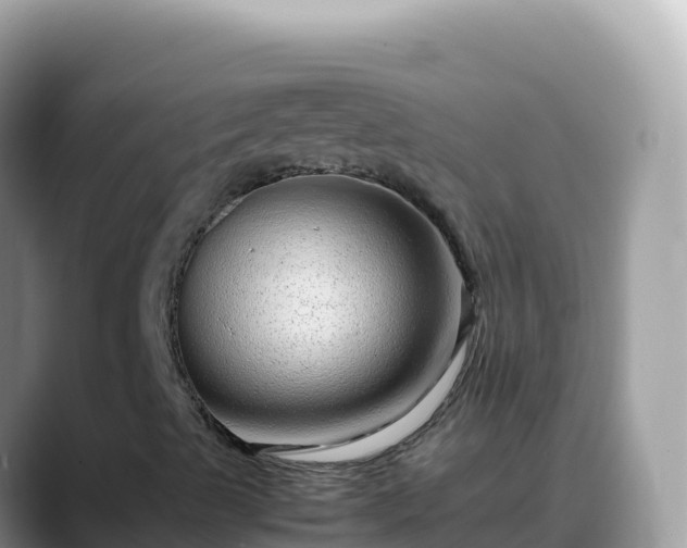 X0000088721489200706071609