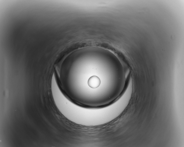 X0000088721492200706071609