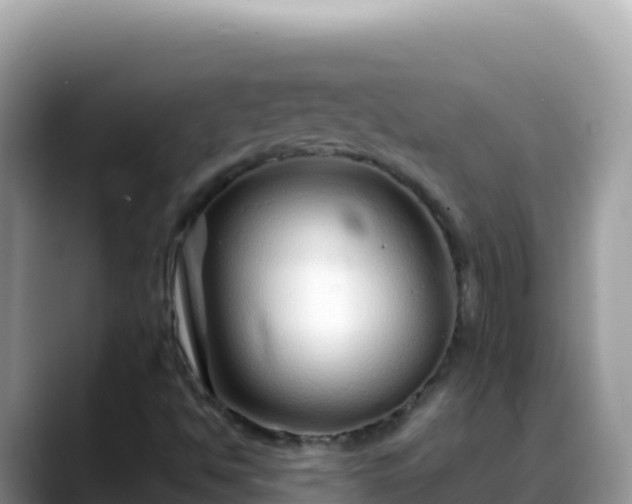 X0000088721494200706071609