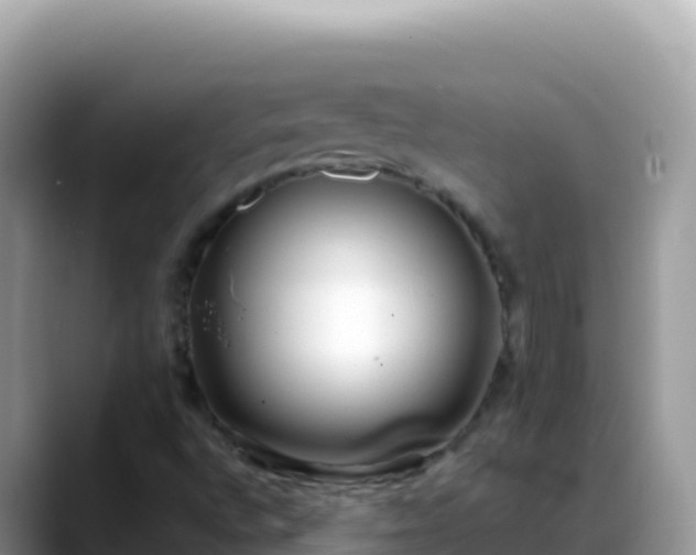 X0000088721496200706071609
