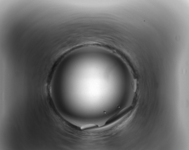 X0000088721497200706071609