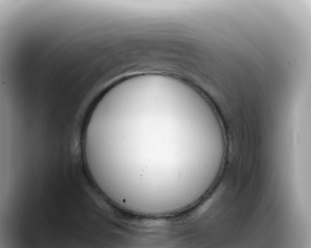 X0000088721498200706071609