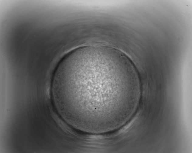 X0000088721499200706071609
