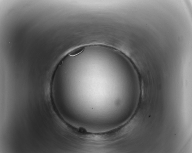 X0000088721500200706071609