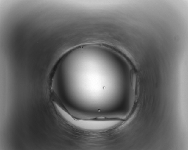 X0000088721501200706071609