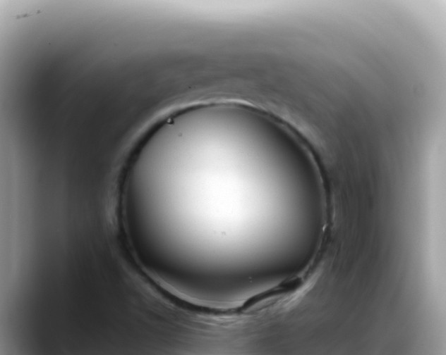 X0000088721502200706071609