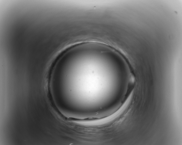 X0000088721503200706071609