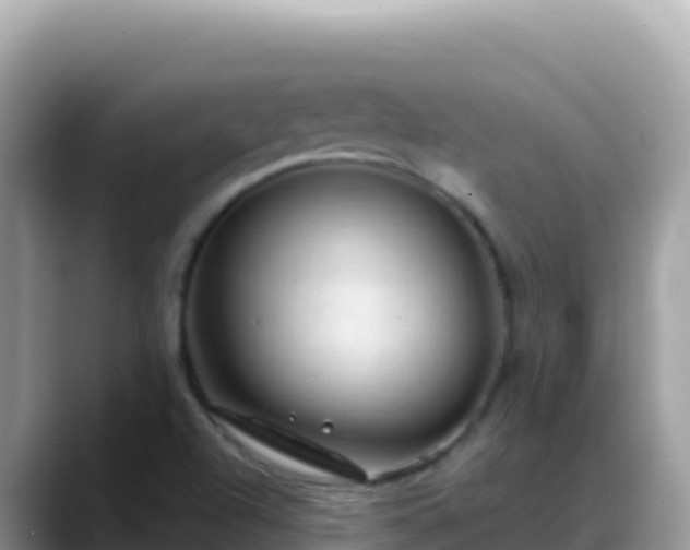 X0000088721504200706071609