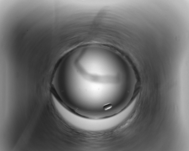 X0000088721505200706071609