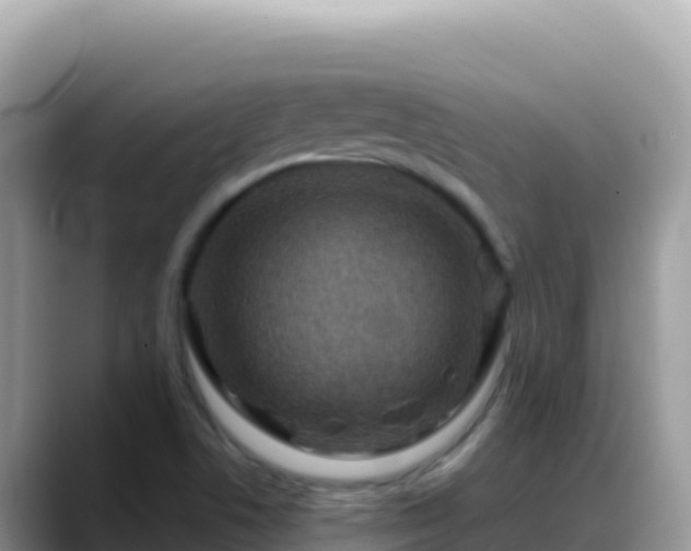 X0000088721506200706071609