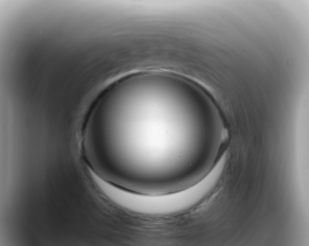 X0000088721507200706071609