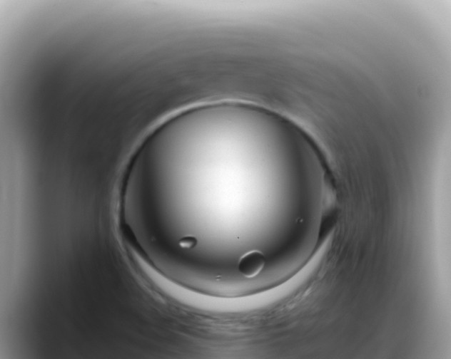 X0000088721508200706071609